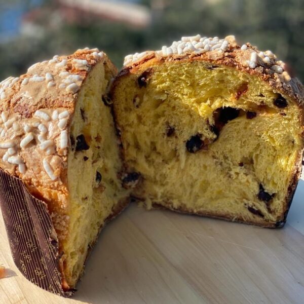 Panettone Artigianale all'Amarena